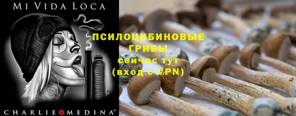 хмурый Заволжск