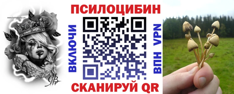 Купить  Зверево  Галлюциногенные грибы Cubensis 