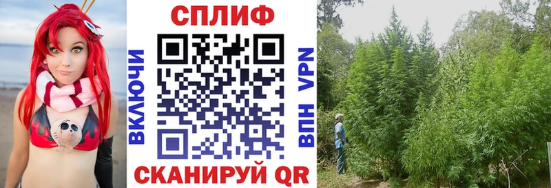 Марихуана Bruce Banner Зверево